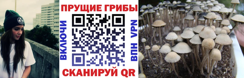 Псилоцибиновые грибы ЛСД  kraken маркетплейс  Волчанск 
